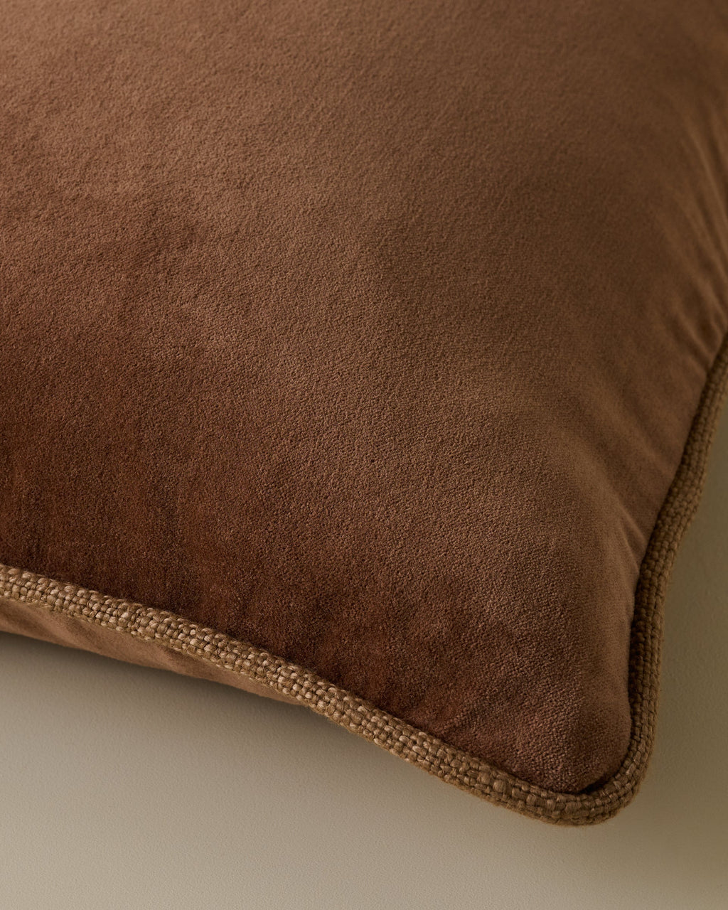 Lexie Velvet Pillow