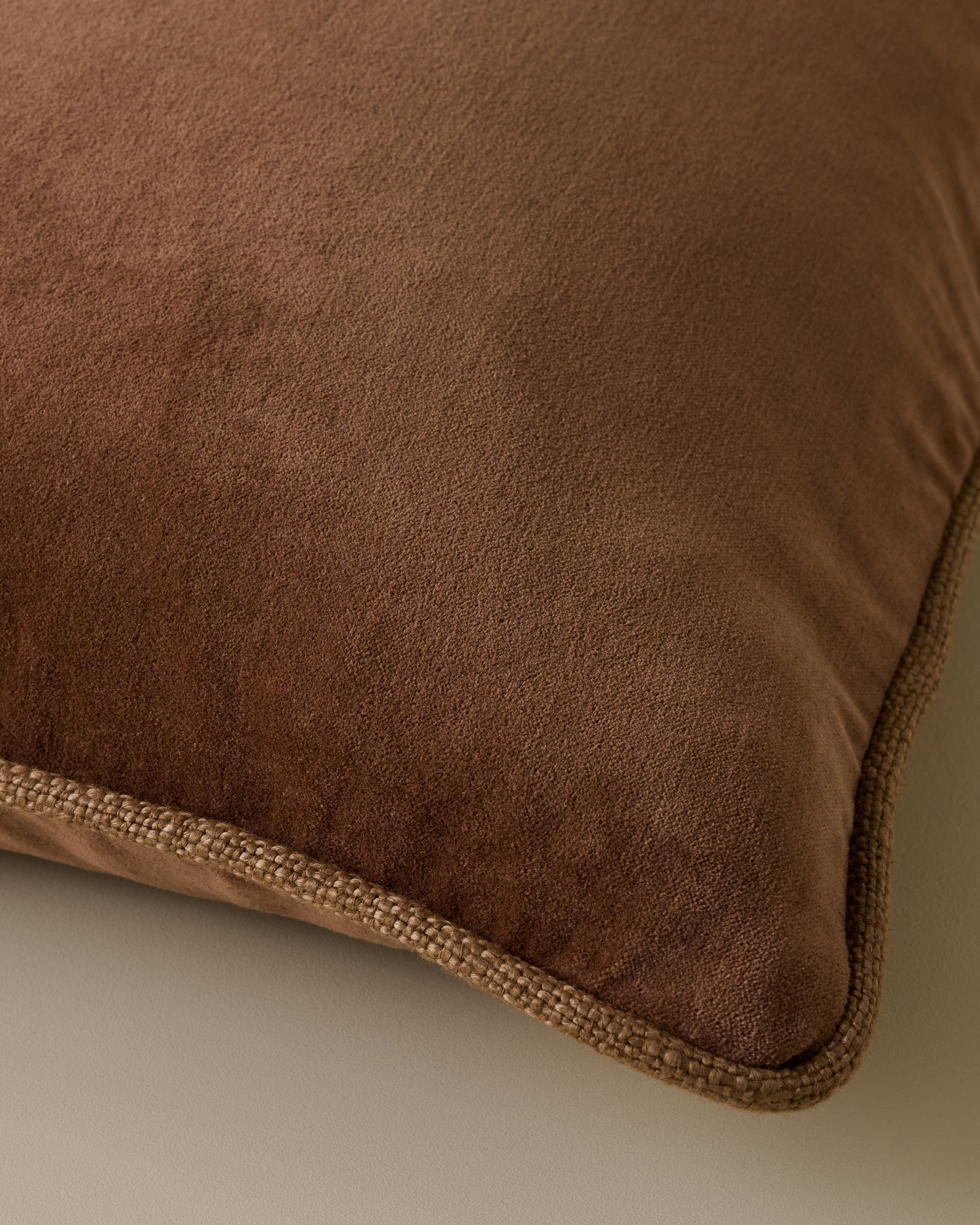 Lexie Velvet Pillow