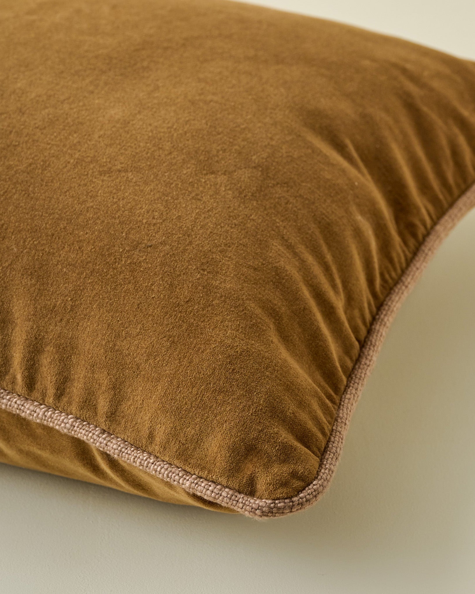 Lexie Velvet Pillow